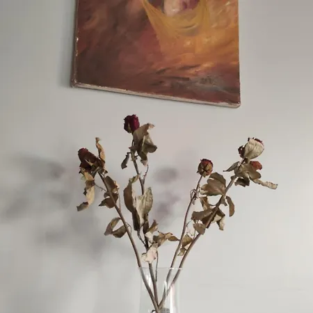 Konak Apart * Κωνσταντινούπολη